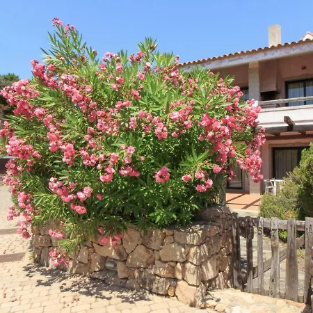 Appart hôtel Baia Del Faro 3*